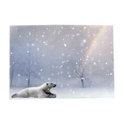 Kirjekuori C6 Jääkarhu 10kpl